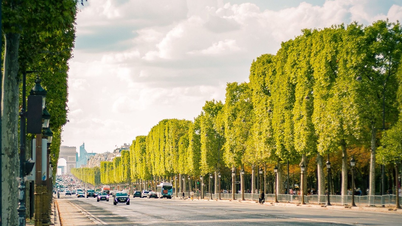 France heatwave deaths surge as June temperatures trigger over 2 000 excess deaths