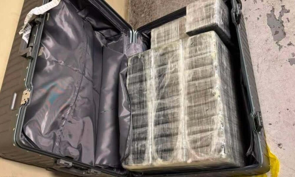 From suitcases to cargo boxes: R200m cocaine haul lands at OR Tambo - but police were waiting