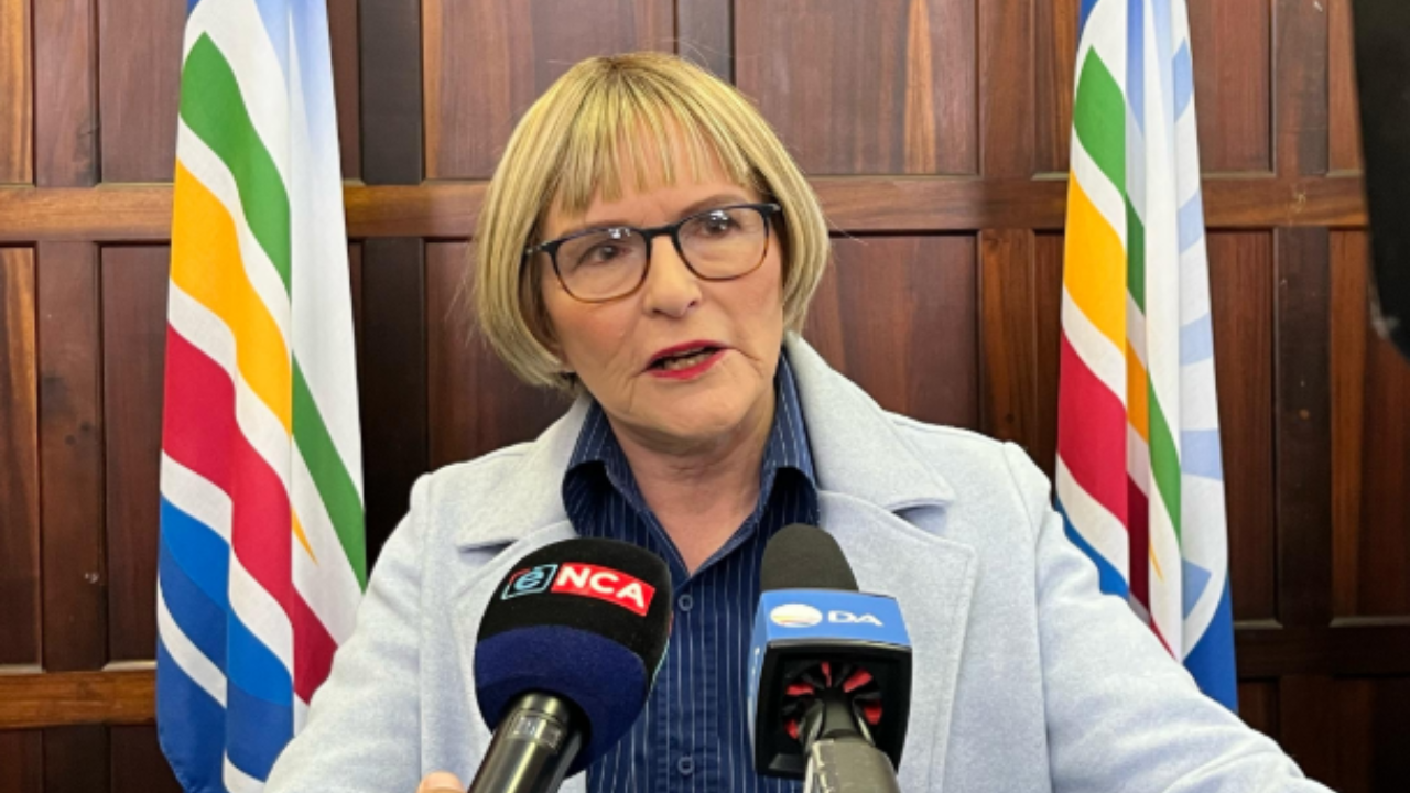 Picture: @Our_DA / X