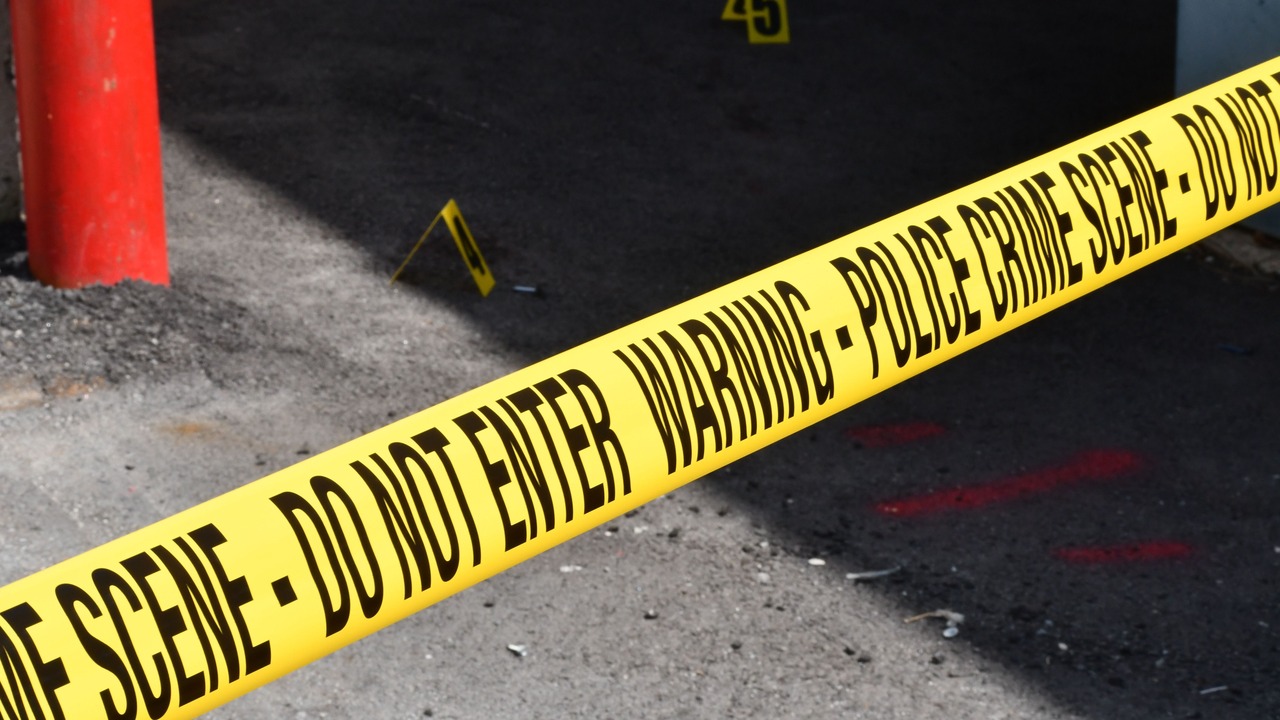Police pursue person of interest as Ekurhuleni murders investigation widens