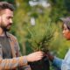 trees planted
