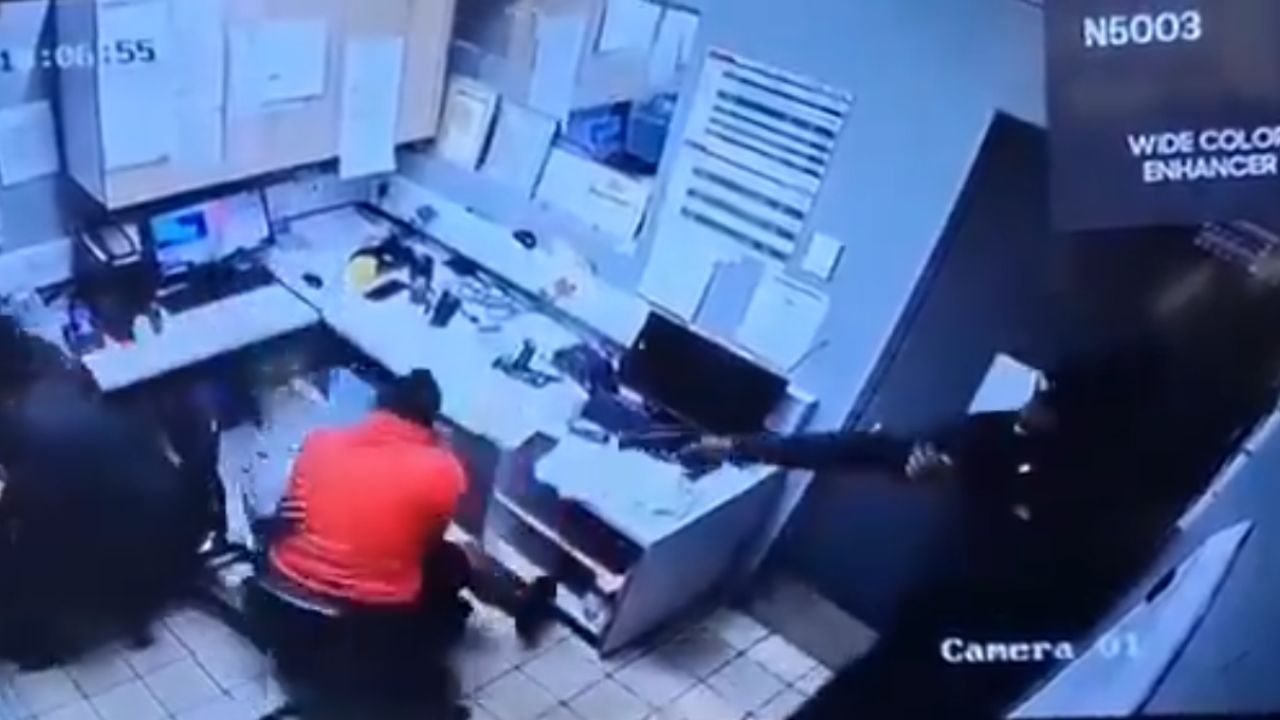 boxer shooting