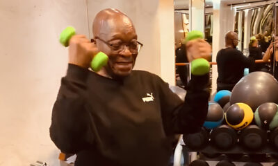 zuma gym