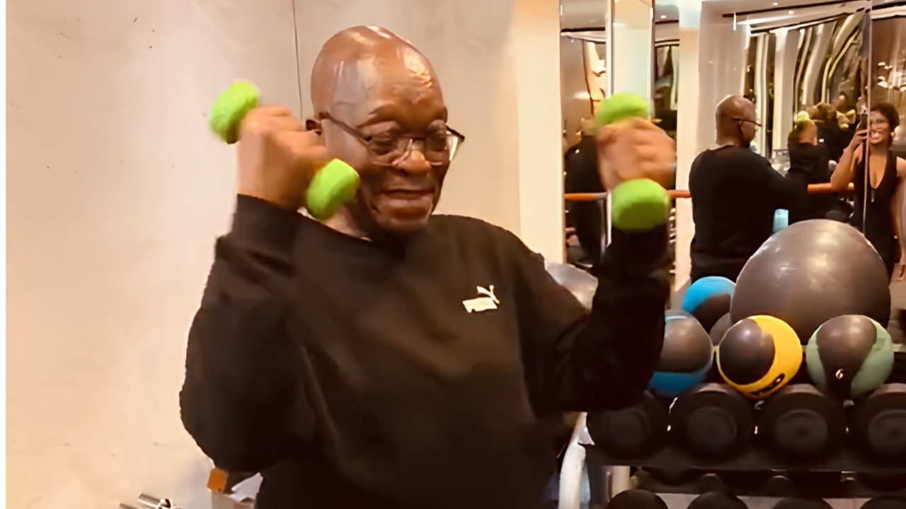zuma gym