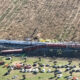 train crash