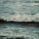 Janine Lochrenberg killed in East London shark incident