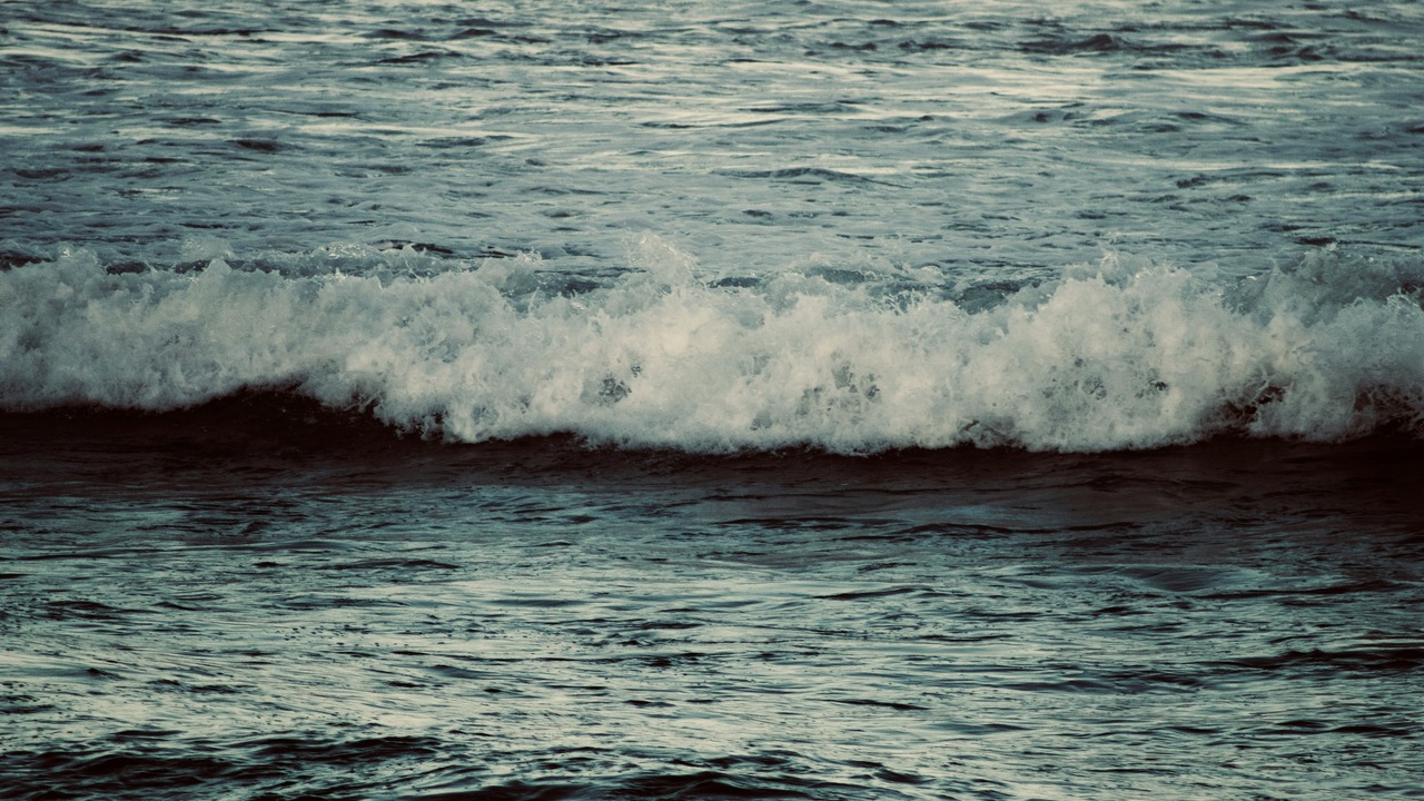 Janine Lochrenberg killed in East London shark incident